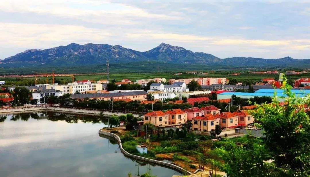 青島市“十四五”生態(tài)環(huán)境保護(hù)規(guī)劃了哪些農(nóng)村人居環(huán)境治理任務(wù)？